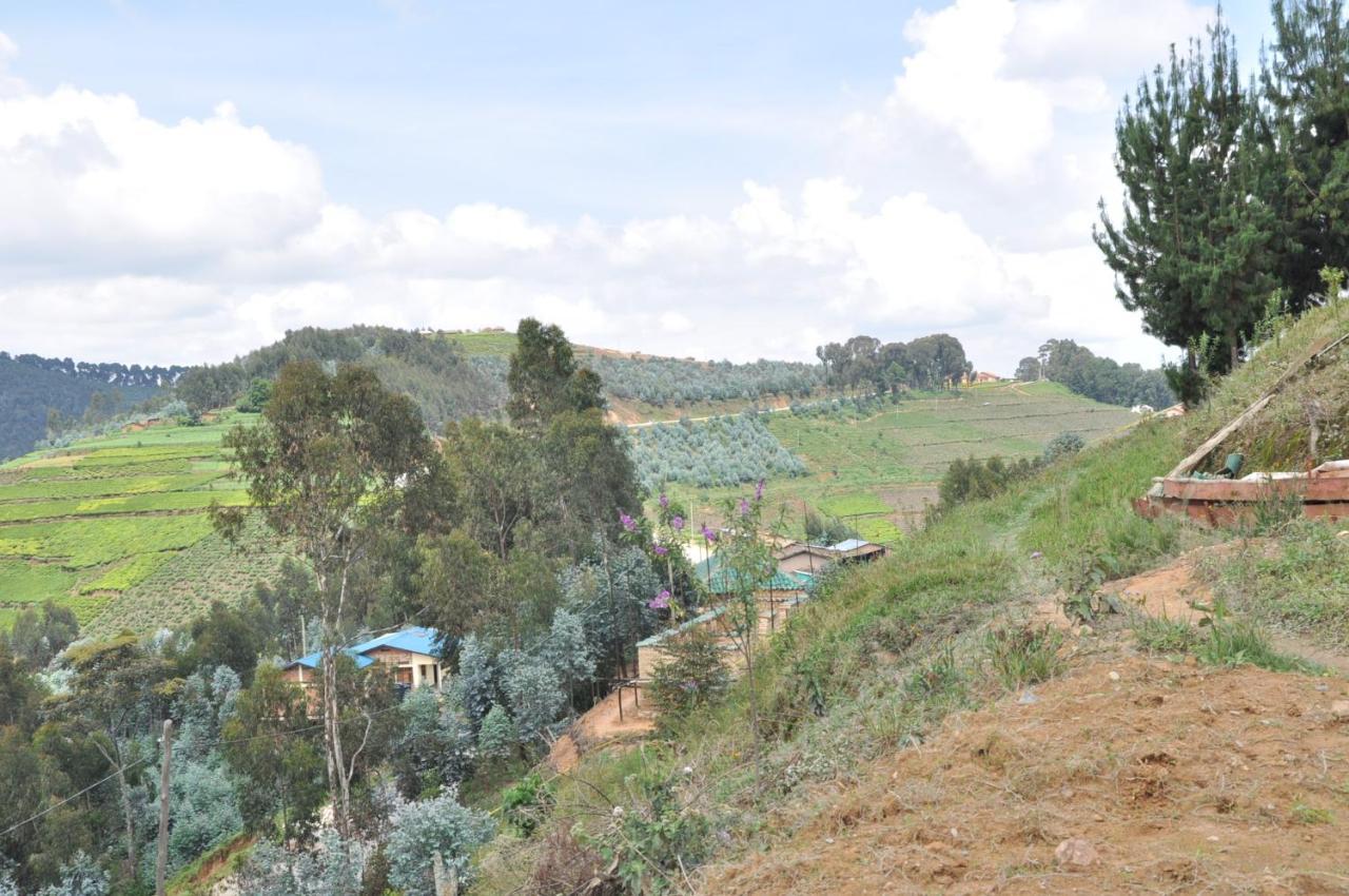 Nyungwe Nziza Ecolodge Kitabi Ngoại thất bức ảnh