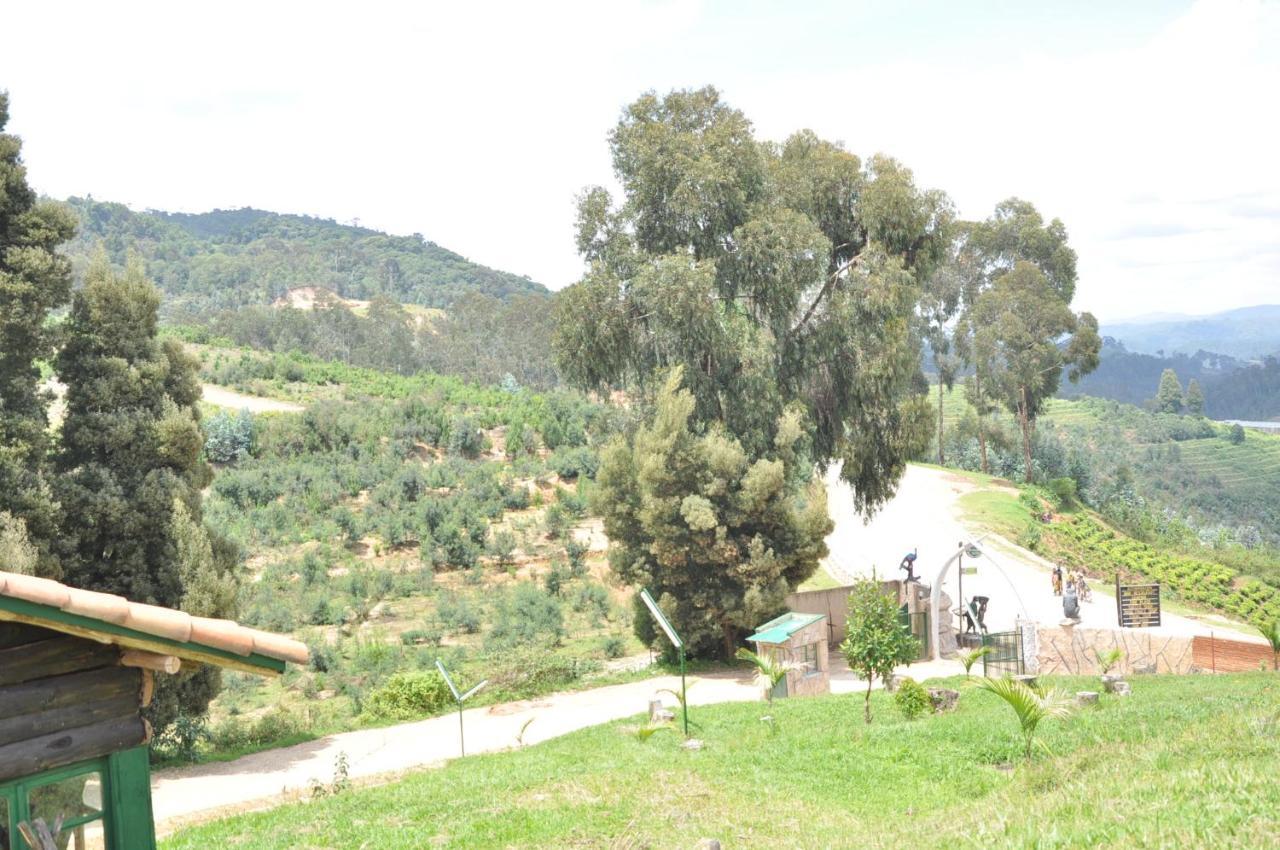 Nyungwe Nziza Ecolodge Kitabi Ngoại thất bức ảnh