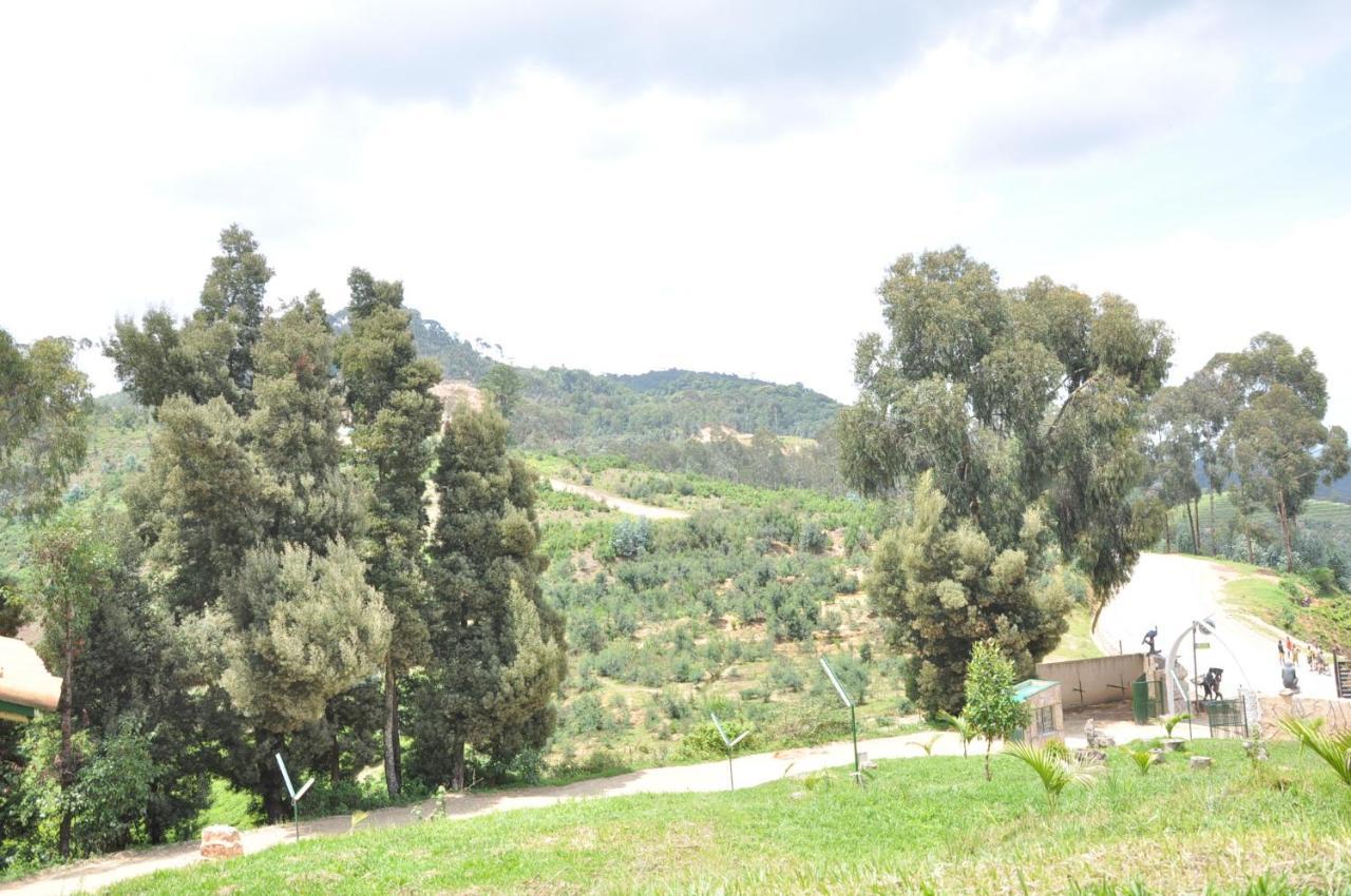Nyungwe Nziza Ecolodge Kitabi Ngoại thất bức ảnh