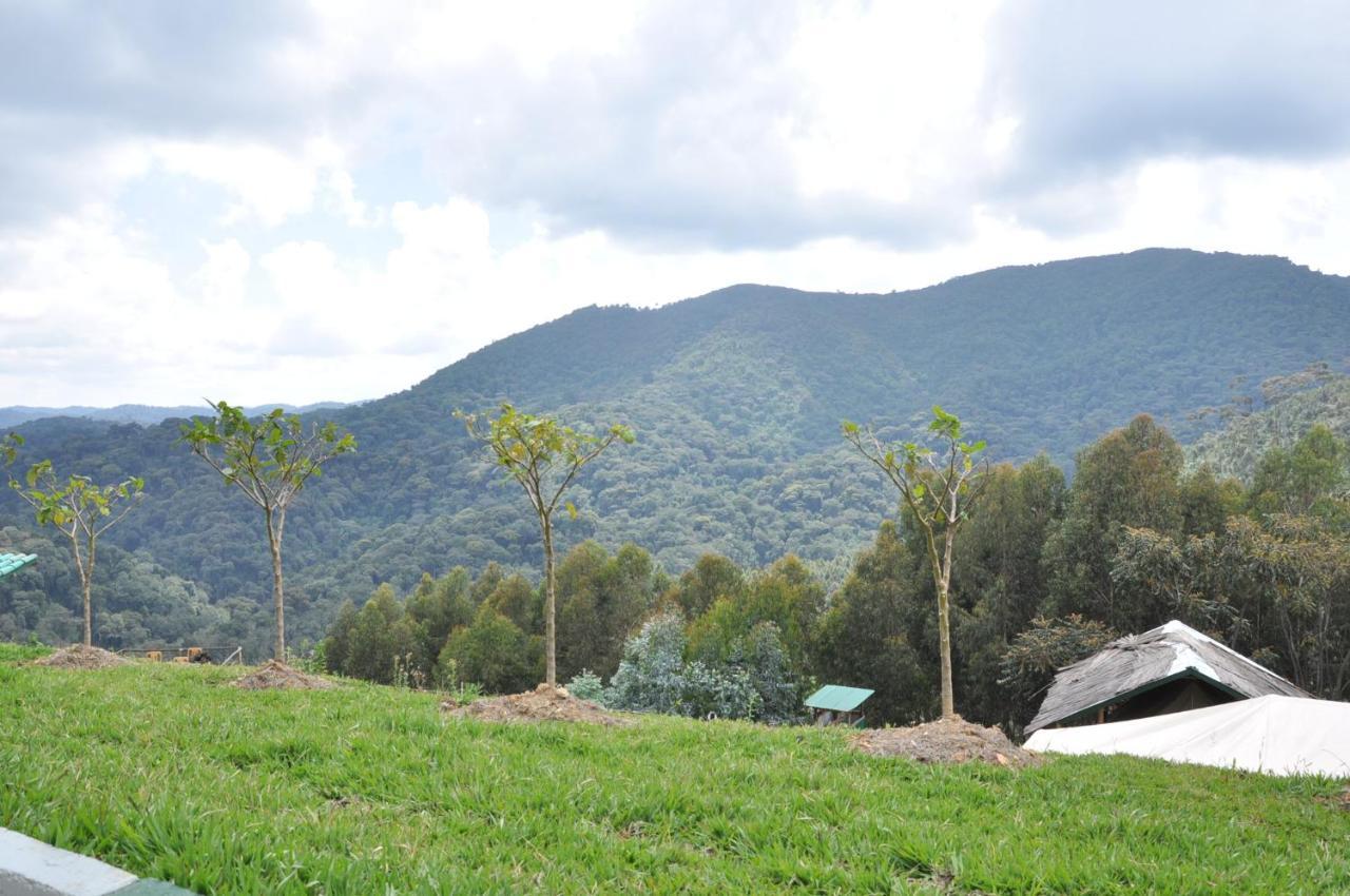 Nyungwe Nziza Ecolodge Kitabi Ngoại thất bức ảnh